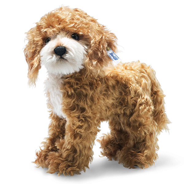 コッカープーのリッキ―